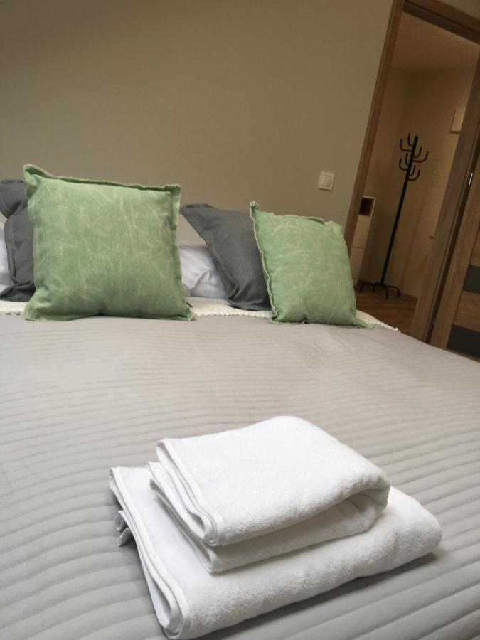 Apartament Silence Triventi Topaz カルパッチ エクステリア 写真