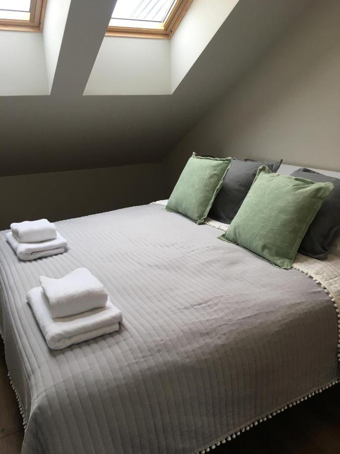 Apartament Silence Triventi Topaz カルパッチ エクステリア 写真