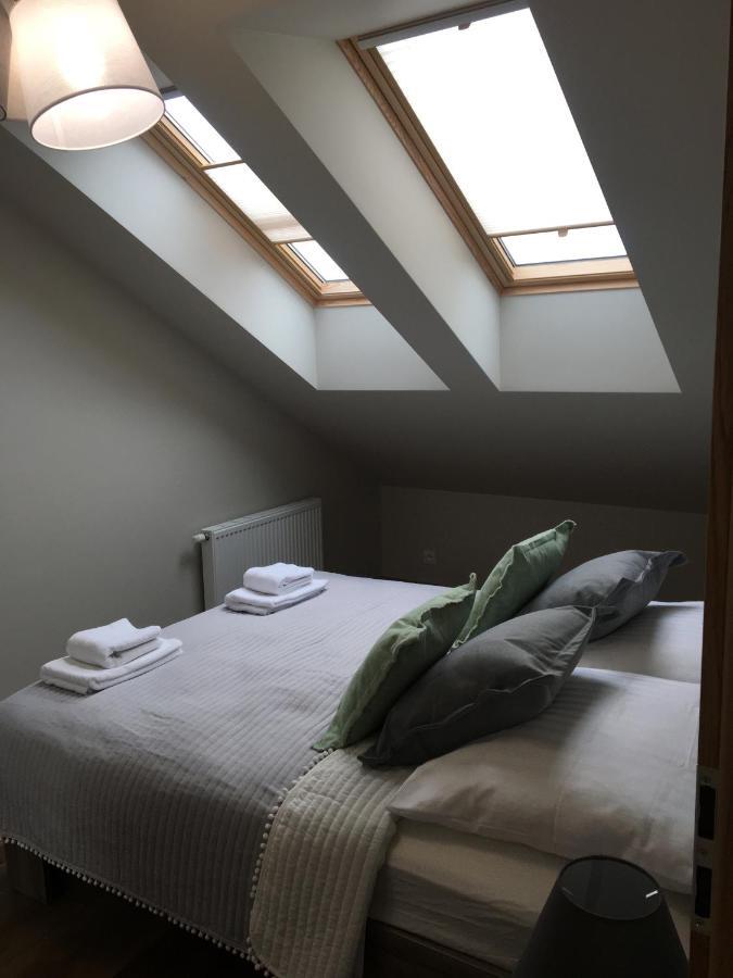 Apartament Silence Triventi Topaz カルパッチ エクステリア 写真